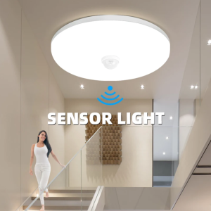 Smart Ceiling Light